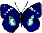 balanbaalis sawirro-firfircoon-gif